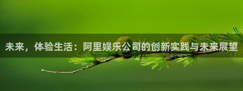 AB娱乐